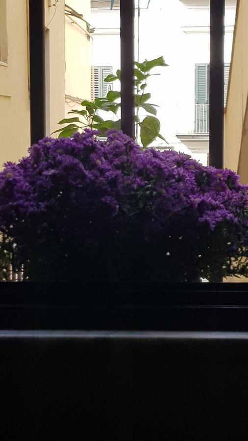 شقة Il Giardino Sul Corso سكافاتي المظهر الخارجي الصورة