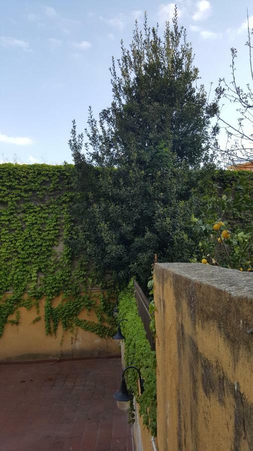 شقة Il Giardino Sul Corso سكافاتي المظهر الخارجي الصورة