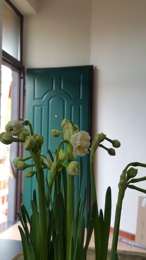 شقة Il Giardino Sul Corso سكافاتي المظهر الخارجي الصورة
